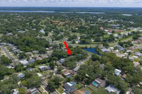 3171 Oak View Drive Palm Harbor FL 34684