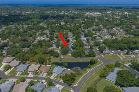 3171 Oak View Drive Palm Harbor FL 34684