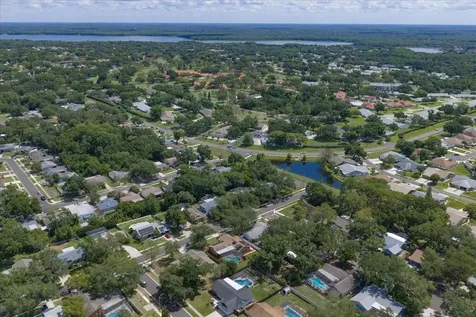 3171 Oak View Drive Palm Harbor FL 34684