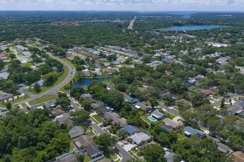 3171 Oak View Drive Palm Harbor FL 34684