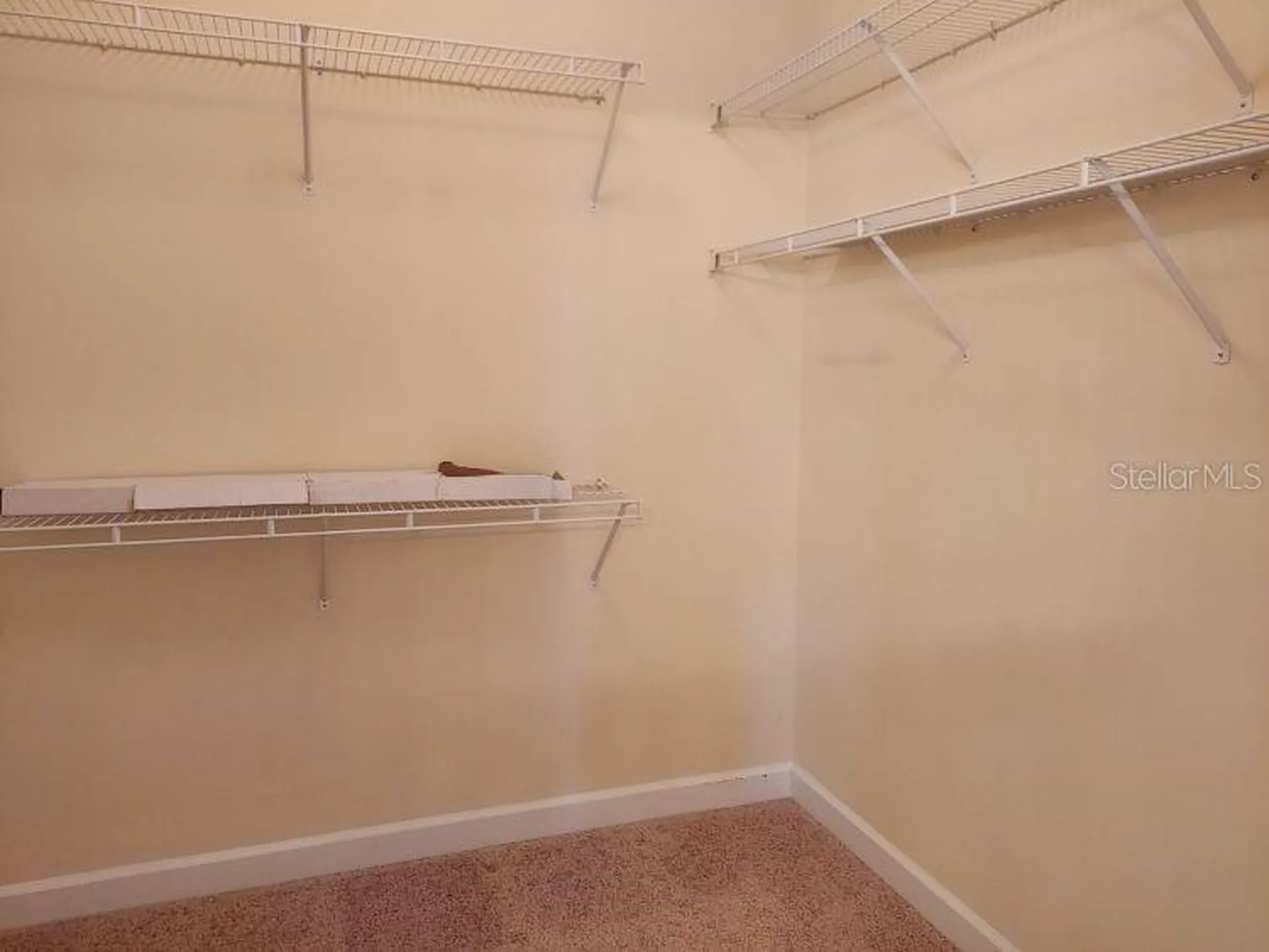 3 Wainmont Place Palm Coast FL 32164