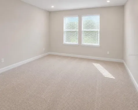 10009 Surrey Rose Drive San Antonio FL 33576