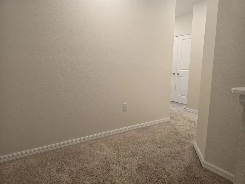 3219 Pleasant Willow Court Brandon FL 33511
