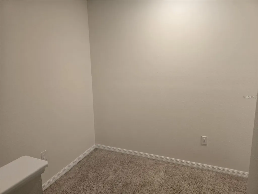 3219 Pleasant Willow Court Brandon FL 33511