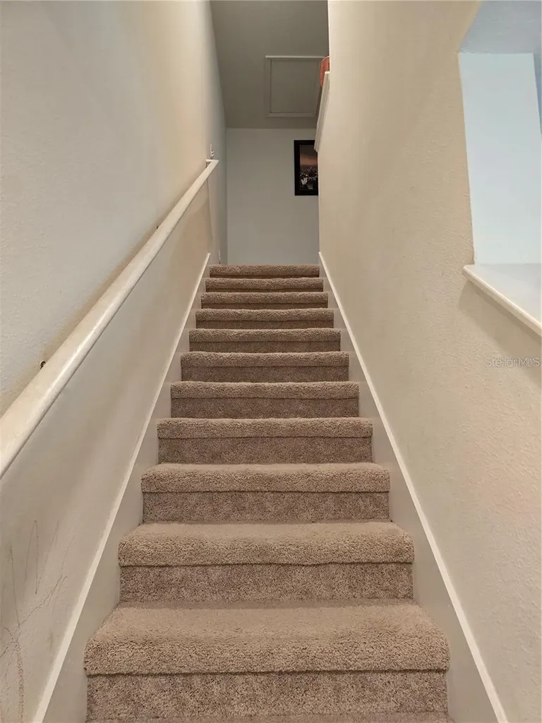 3219 Pleasant Willow Court Brandon FL 33511