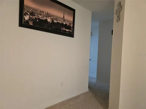 3219 Pleasant Willow Court Brandon FL 33511