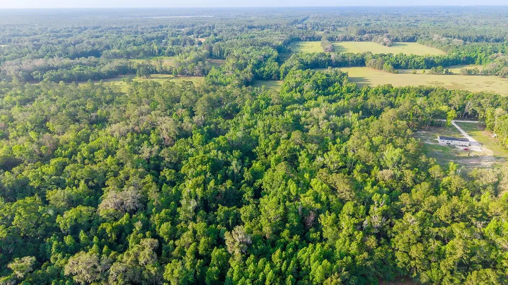 1708 NW 230th Place Brooker FL 32622