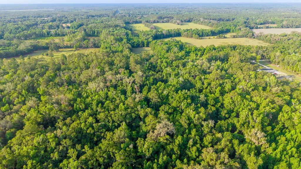 1708 NW 230th Place Brooker FL 32622