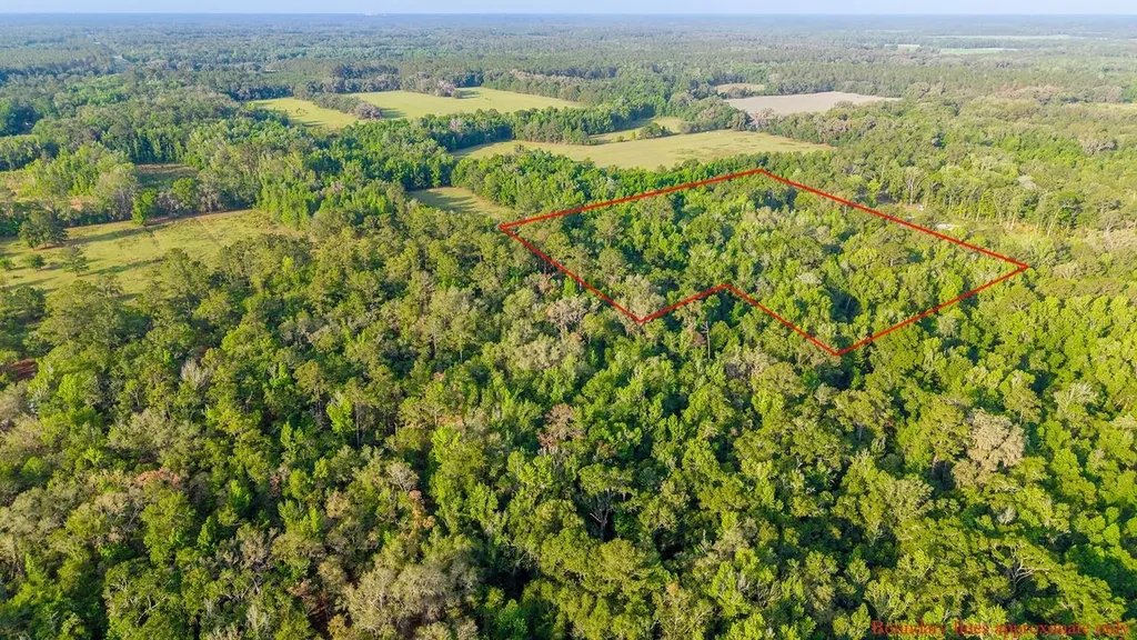 1708 NW 230th Place Brooker FL 32622