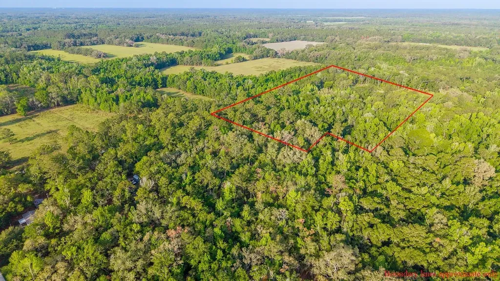 1708 NW 230th Place Brooker FL 32622
