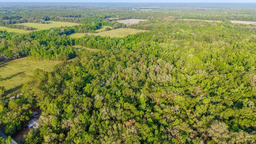 1708 NW 230th Place Brooker FL 32622
