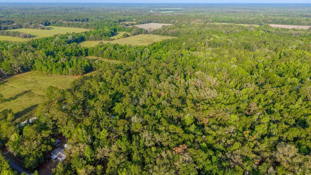 1708 NW 230th Place Brooker FL 32622