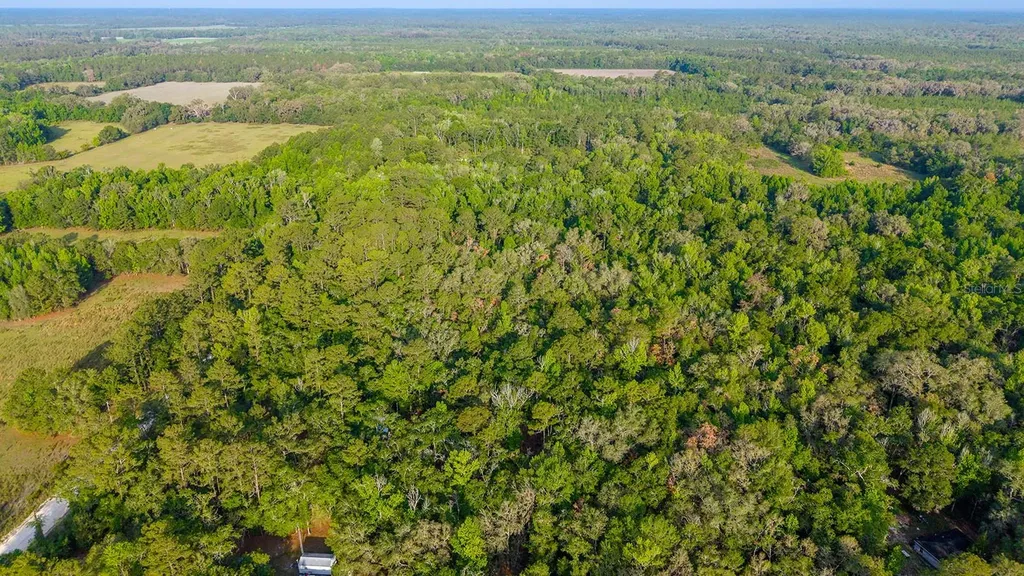 1708 NW 230th Place Brooker FL 32622