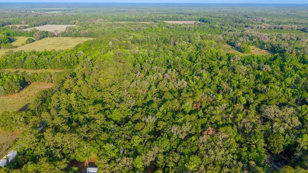 1708 NW 230th Place Brooker FL 32622