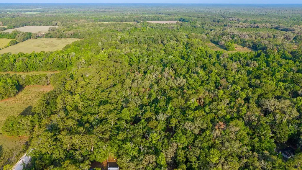 1708 NW 230th Place Brooker FL 32622
