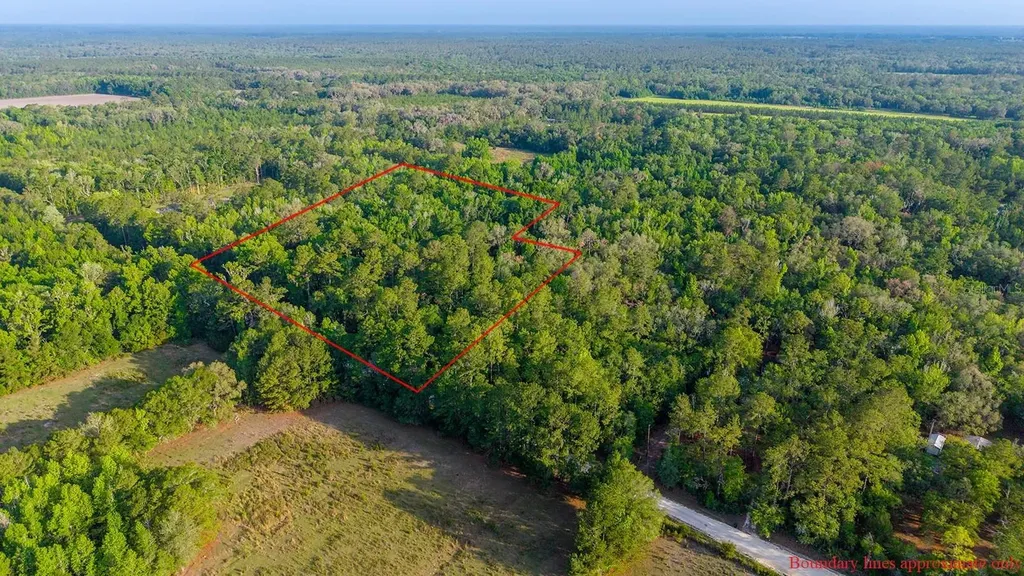 1708 NW 230th Place Brooker FL 32622
