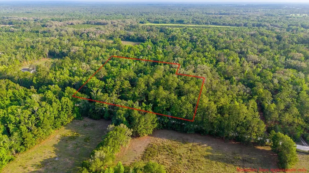 1708 NW 230th Place Brooker FL 32622