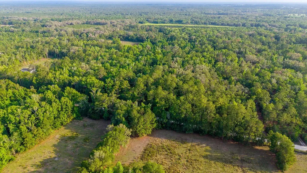 1708 NW 230th Place Brooker FL 32622