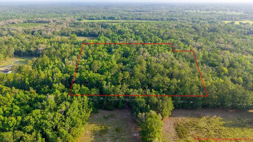 1708 NW 230th Place Brooker FL 32622