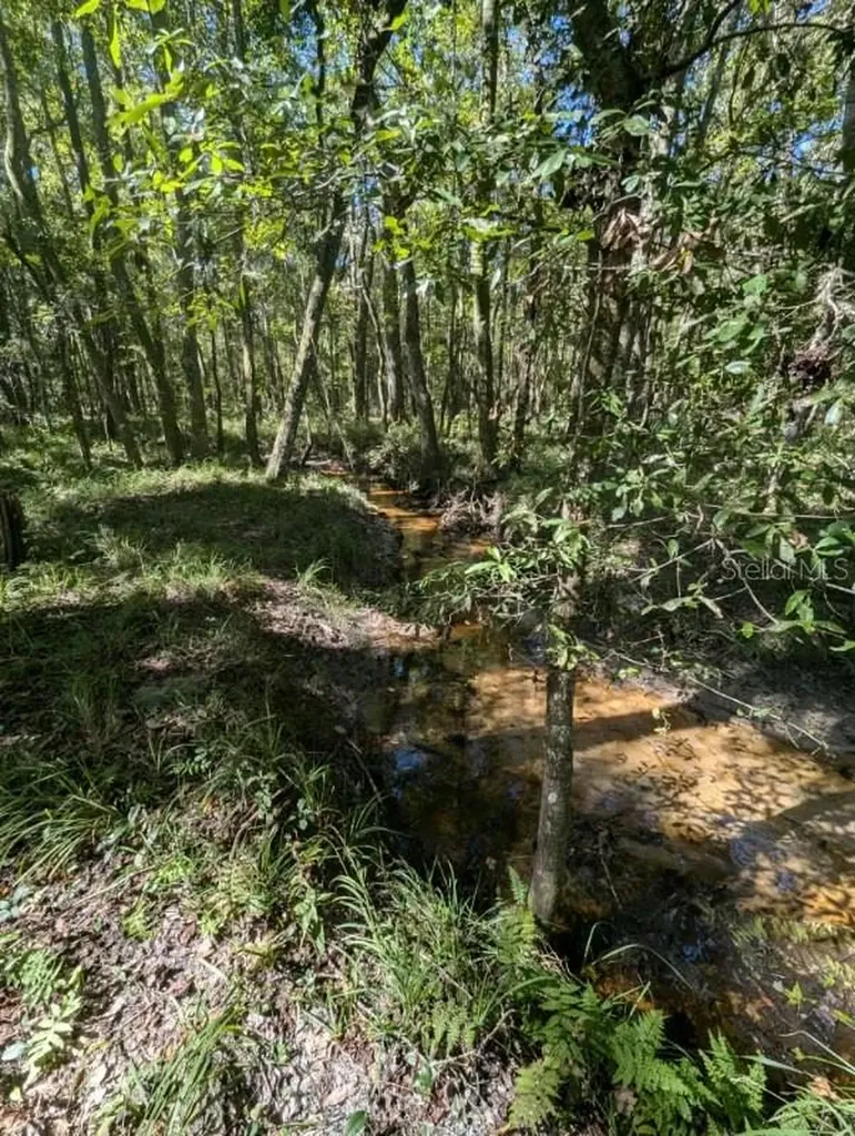 1708 NW 230th Place Brooker FL 32622