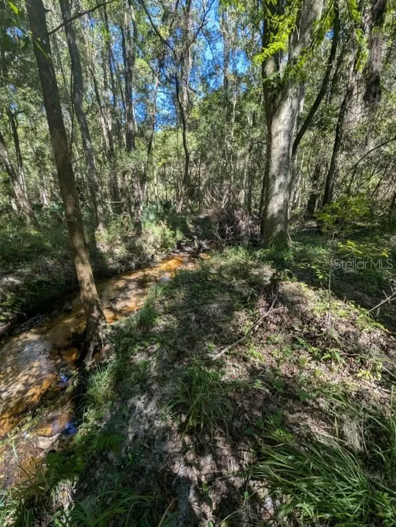 1708 NW 230th Place Brooker FL 32622