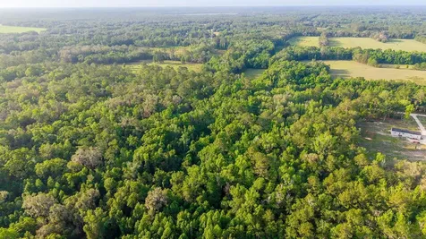 1708 NW 230th Place Brooker FL 32622