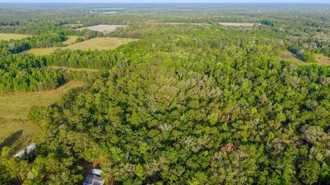 1708 NW 230th Place Brooker FL 32622