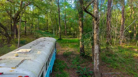 1708 NW 230th Place Brooker FL 32622