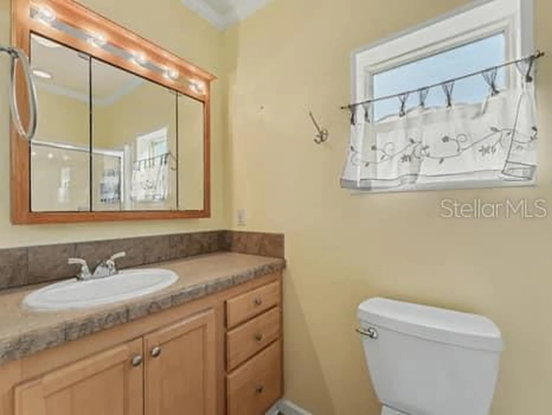 9504 Gray Fox Dr Drive Weeki Wachee FL 34613