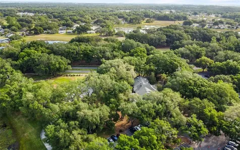 25049 Navel Avenue Leesburg FL 34748