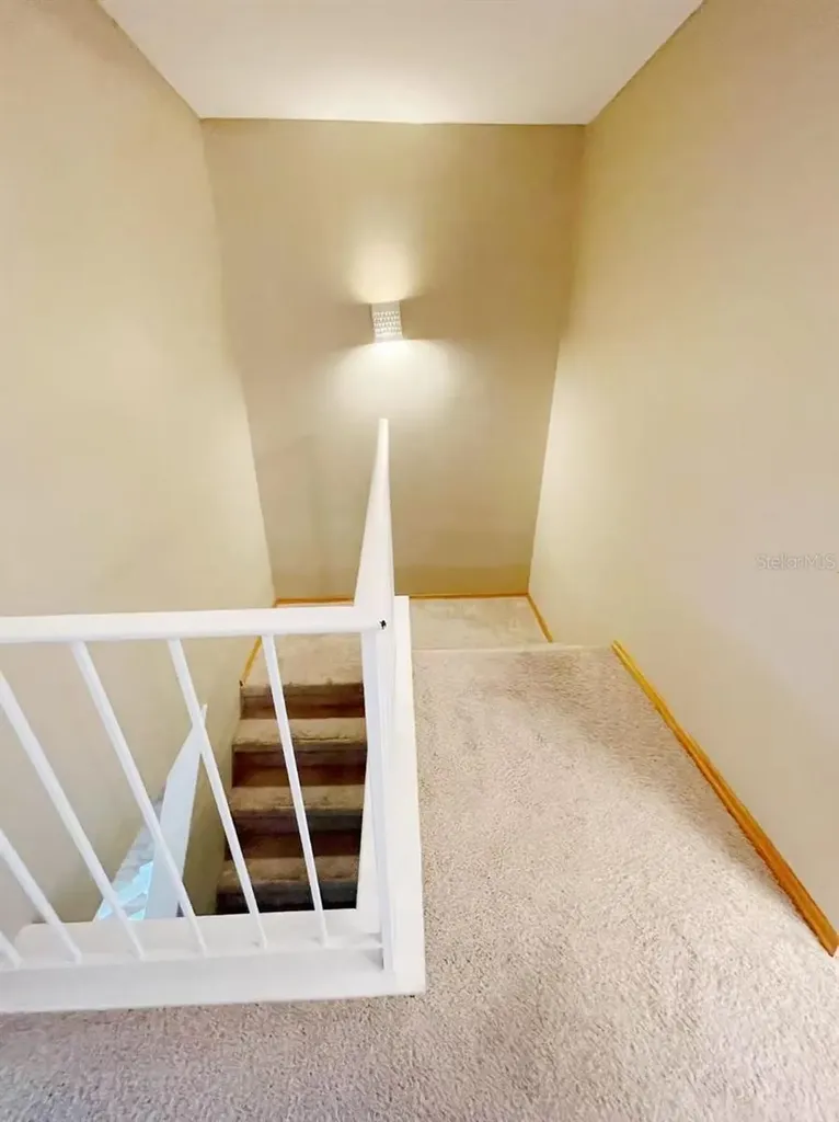 14402 Reuter Strasse Circle Tampa FL 33613