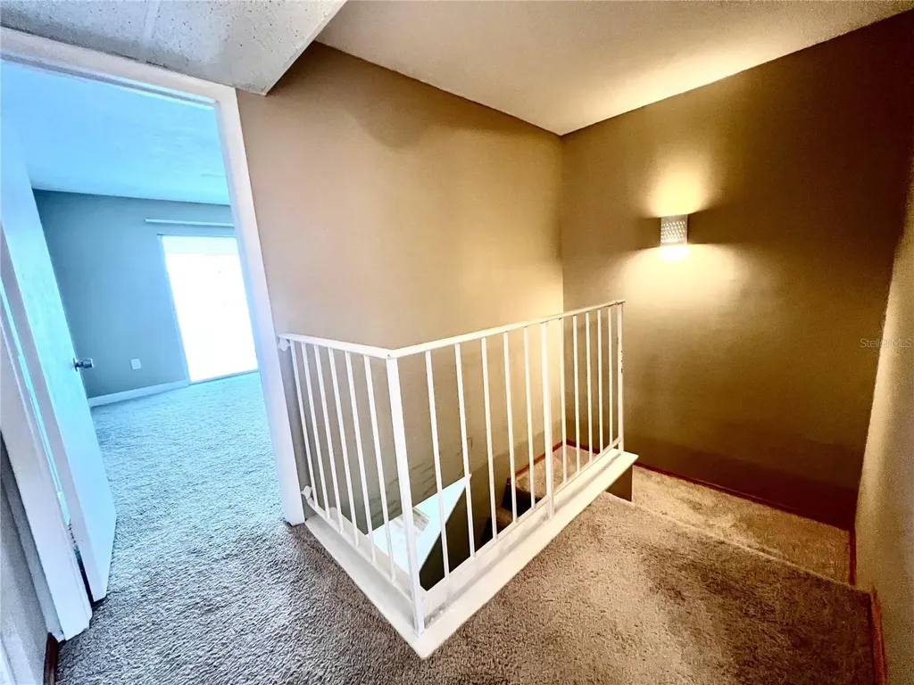14402 Reuter Strasse Circle Tampa FL 33613