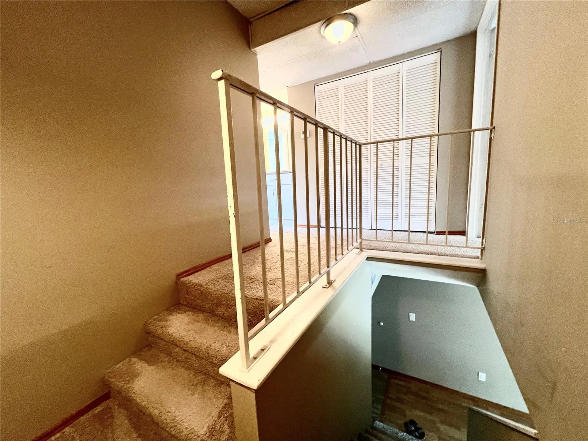 14402 Reuter Strasse Circle Tampa FL 33613