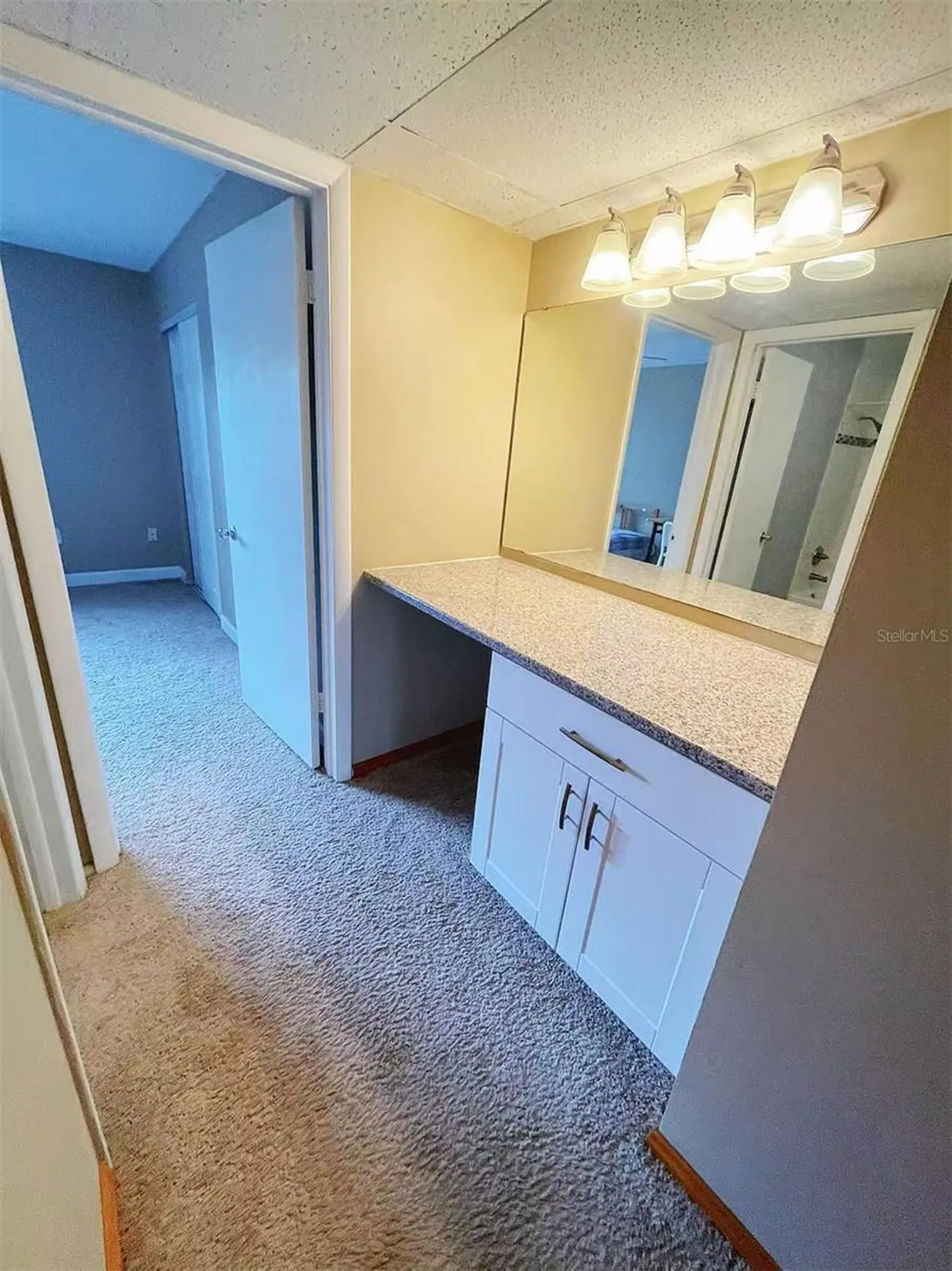14402 Reuter Strasse Circle Tampa FL 33613