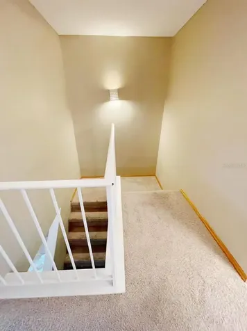 14402 Reuter Strasse Circle Tampa FL 33613