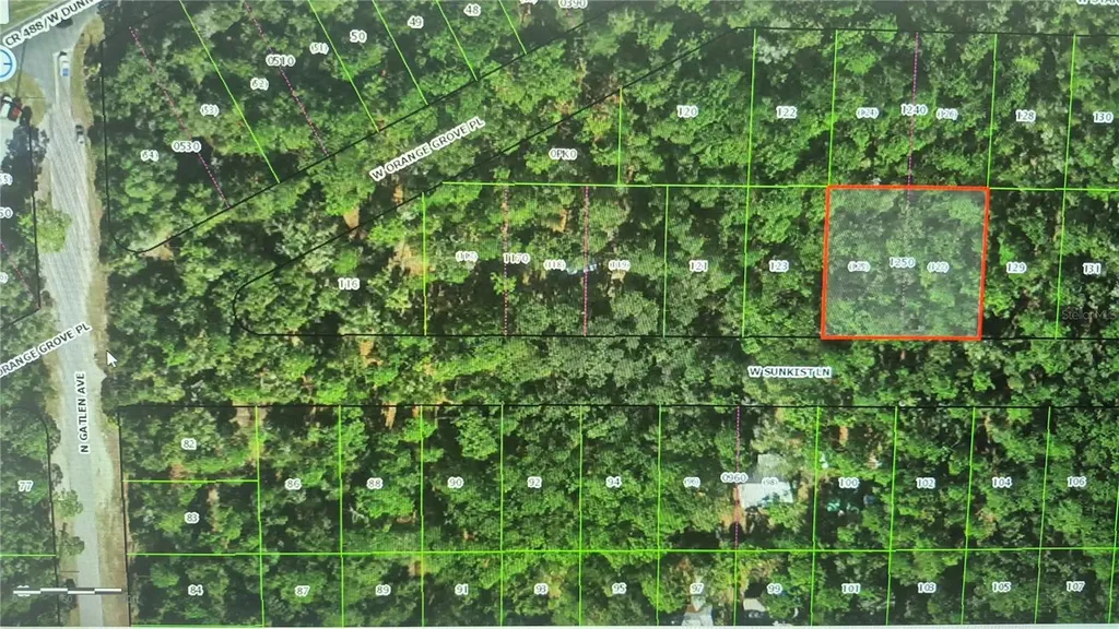 2871 W Sunkist Lane Dunnellon FL 34433