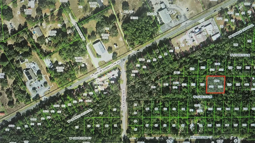 2871 W Sunkist Lane Dunnellon FL 34433