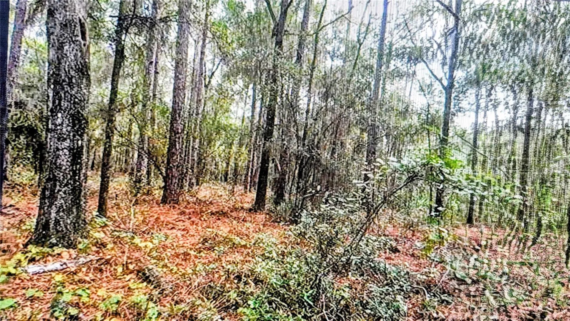 2871 W Sunkist Lane Dunnellon FL 34433