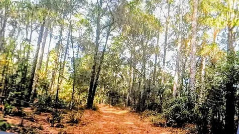 2871 W Sunkist Lane Dunnellon FL 34433