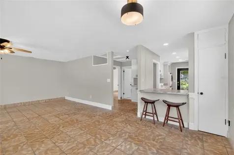1012 N Baker Street Mount Dora FL 32757