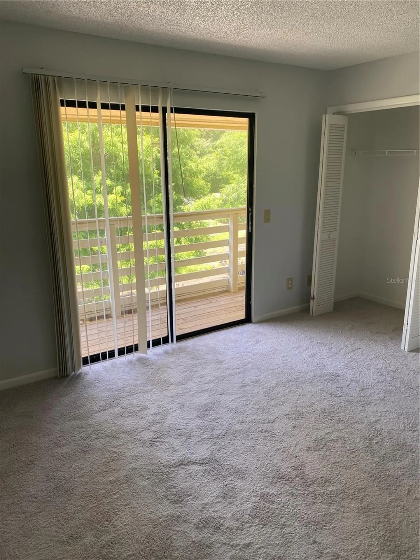 22707 Watersedge Boulevard Land O Lakes FL 34639