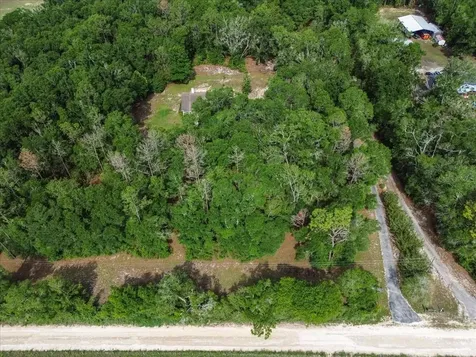 569 NW 40th Avenue Bell FL 32619
