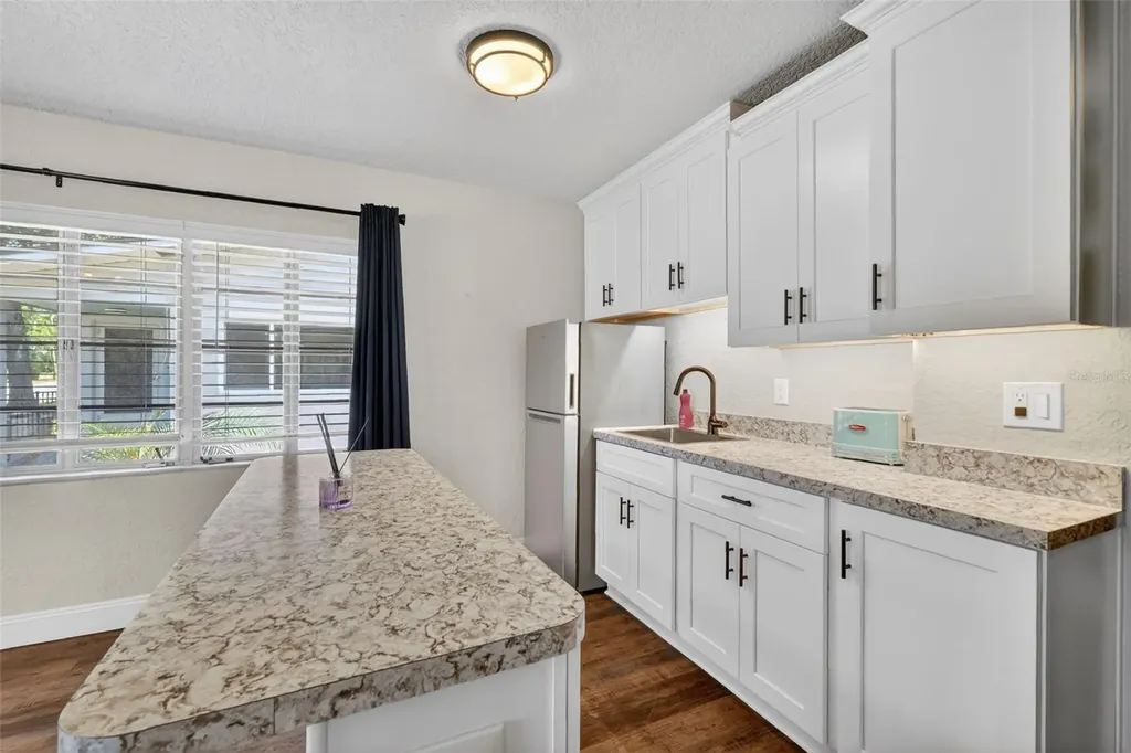 205 E 10th Avenue Mount Dora FL 32757