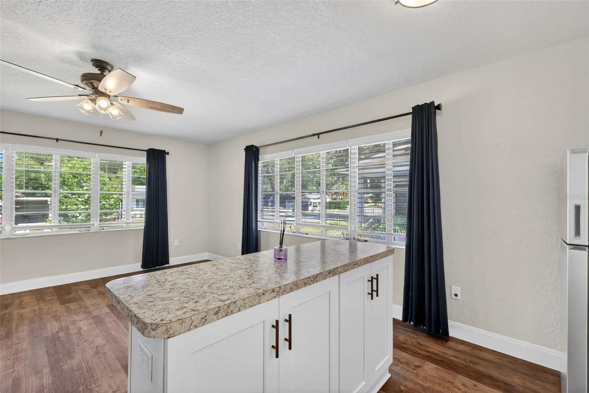 205 E 10th Avenue Mount Dora FL 32757