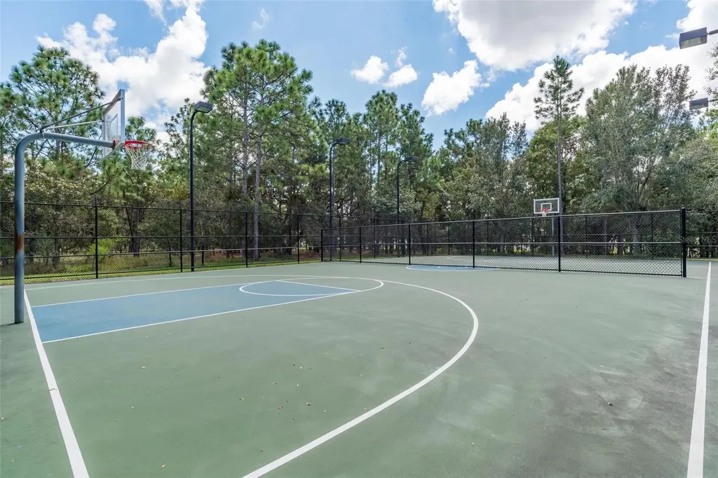 13393 Golden Lime Avenue Spring Hill FL 34609