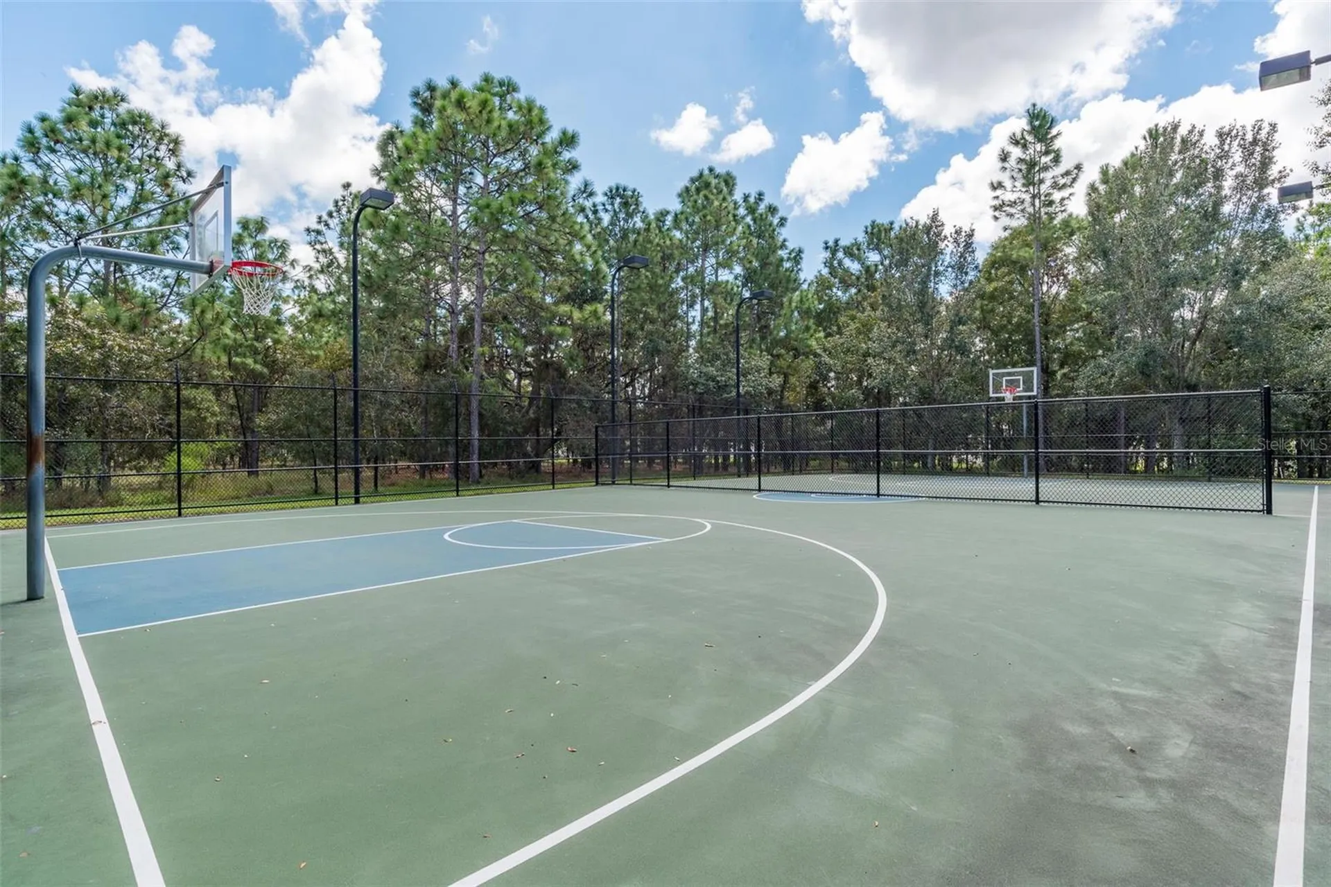 13393 Golden Lime Avenue Spring Hill FL 34609
