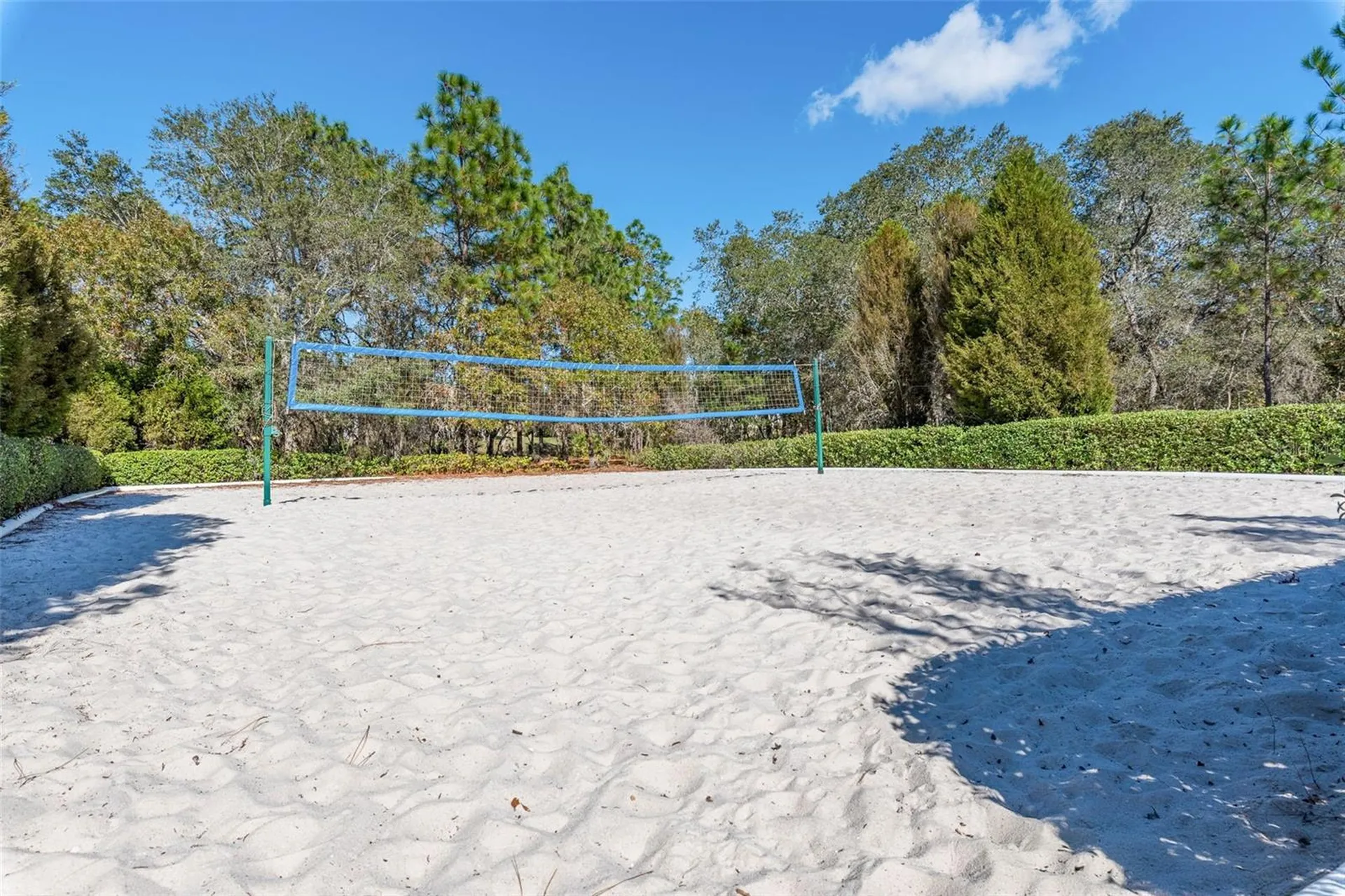 13393 Golden Lime Avenue Spring Hill FL 34609