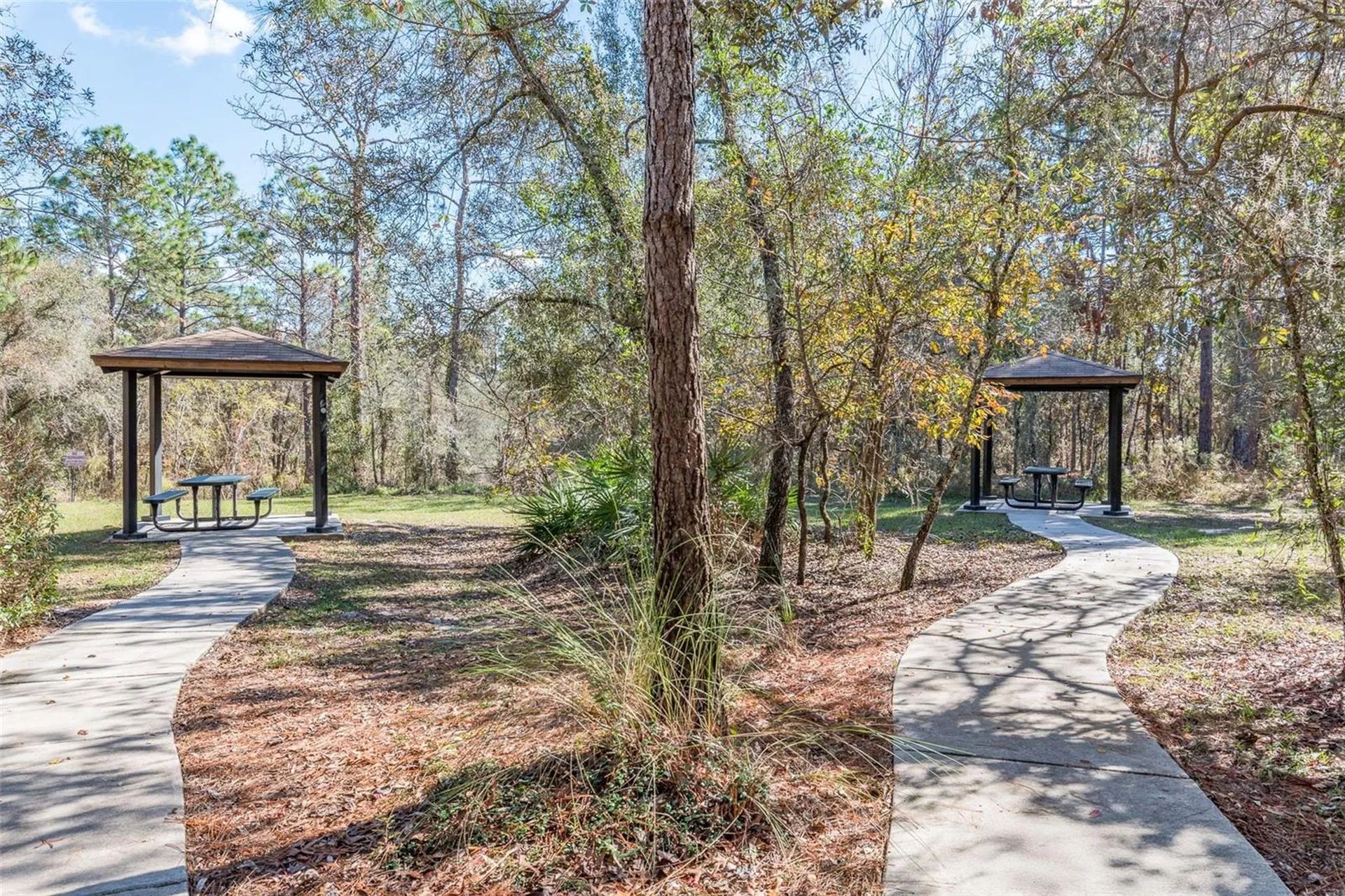 13393 Golden Lime Avenue Spring Hill FL 34609