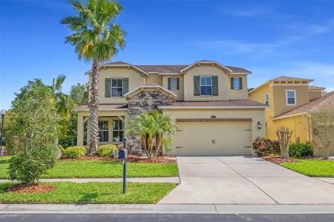 4424 Vermillion Sky Drive Wesley Chapel FL 33544