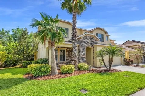 4424 Vermillion Sky Drive Wesley Chapel FL 33544